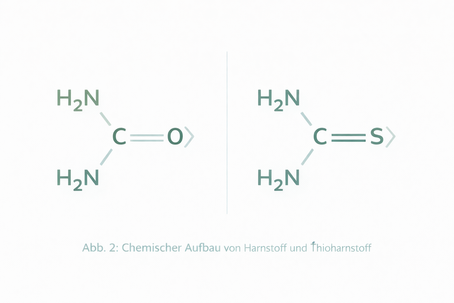 Abb. 2: Urease